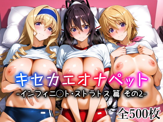【IS】 キセカエオナペット -インフィニ◯ト・ストラトス篇 その2-